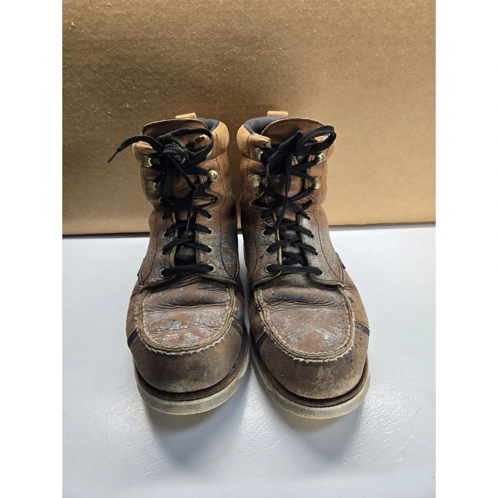 Irish Setter red wing